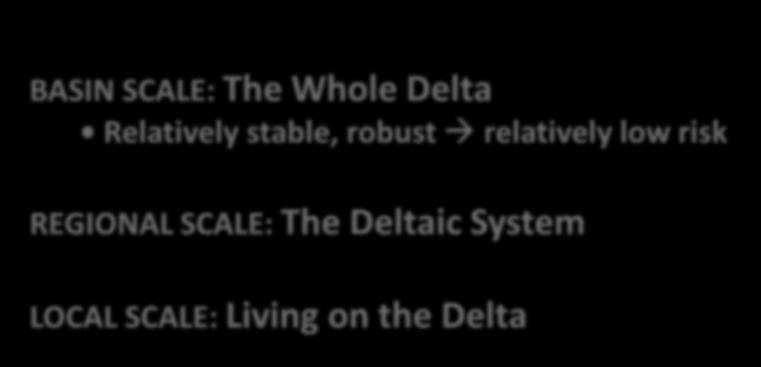 TALK OUTLINE: BASIN SCALE: The Whole Delta Relatively stable, robust relatively low risk REGIONAL SCALE: The Deltaic System LOCAL SCALE: Living on the Delta Distinct