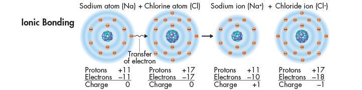 Two types of chemical bonds.