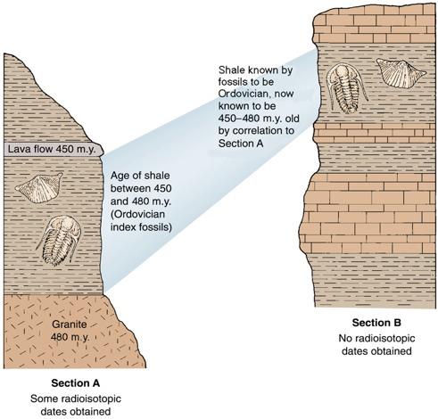 The ages of fossils in a sequence of sedimentary rocks can be