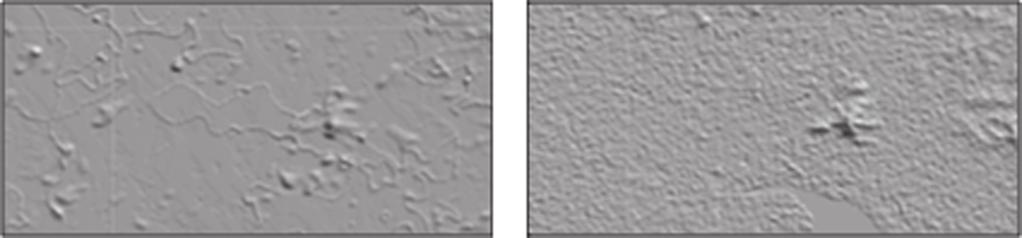 the center) compared to the reference SRTM DTED for Iraq cell 33 N, 42 E. Figure 6.