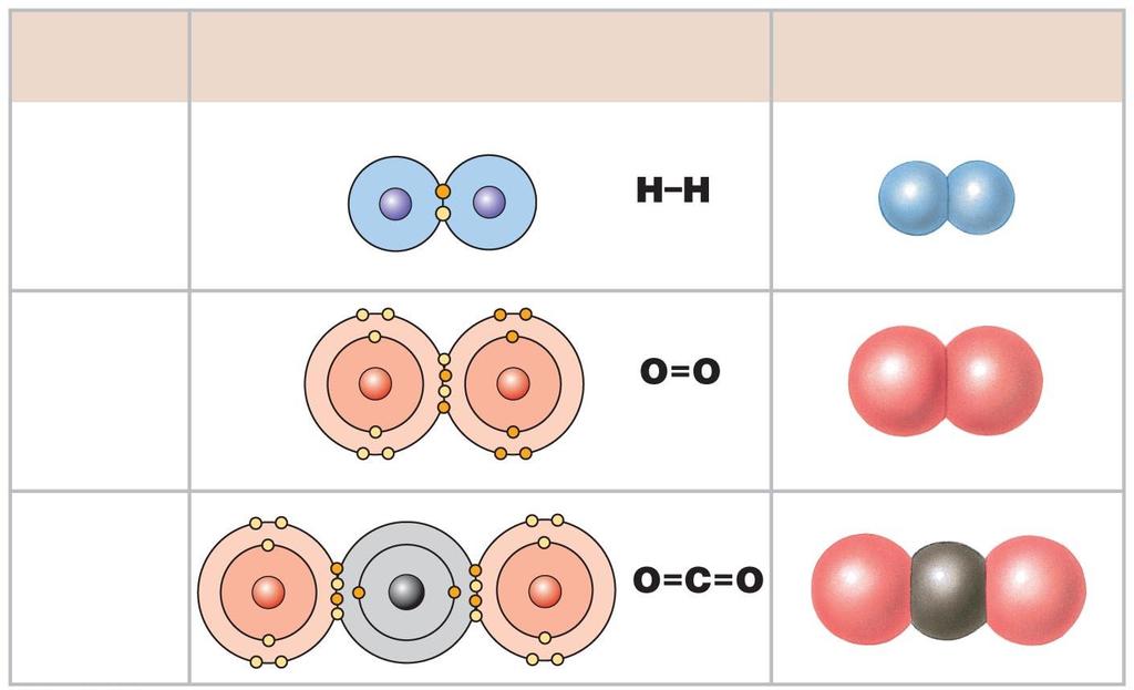 Figure 2-5 Covalent Bonds in Three Common Molecules.