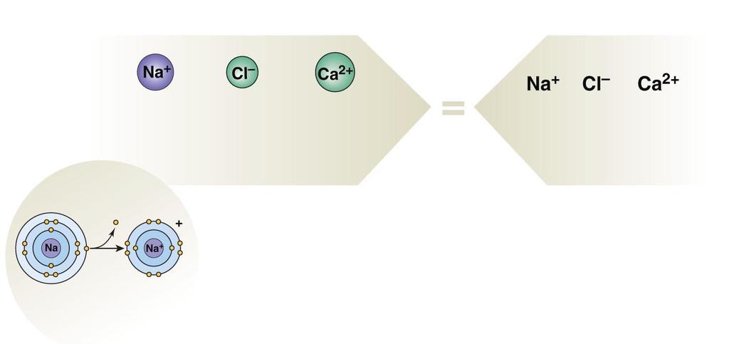Figure 2-7 Chemical Notation (4 of 4) Ions VISUAL REPRESENTATION CHEMICAL NOTATION sodium ion chloride ion calcium ion the sodium the chlorine the calcium atom has lost atom has