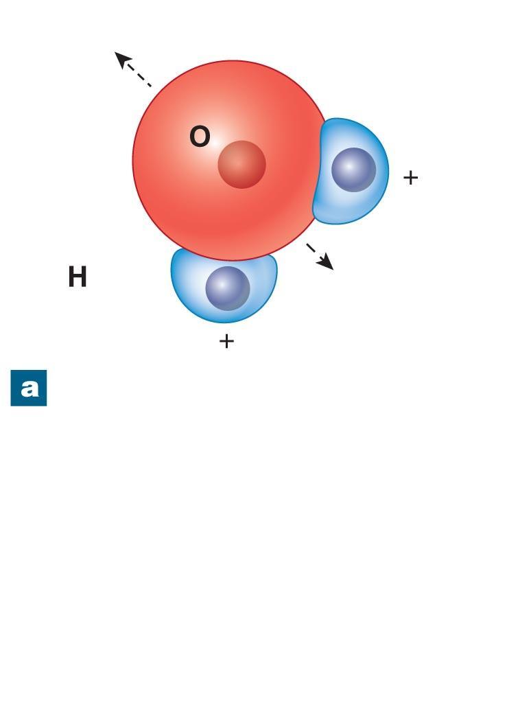 Figure 2-9a The Role of Water Molecules in Aqueous Solutions. Negative pole 2 Positive pole Water molecule.
