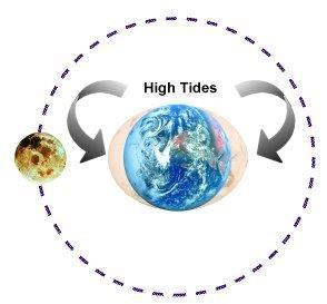 High Tides and the Tide Cycle As Earth rotates, one high tide stays on the side of Earth facing the moon The second high tide