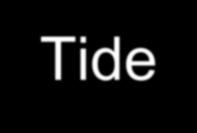 Spring Tide or High Tide The sun s gravity also pulls on Earth s waters During a