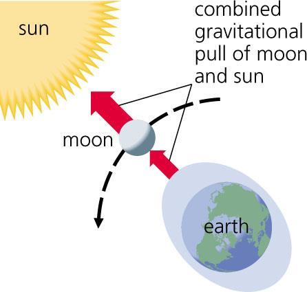 gravity of the sun and the moon pull in the same direction The combined forces
