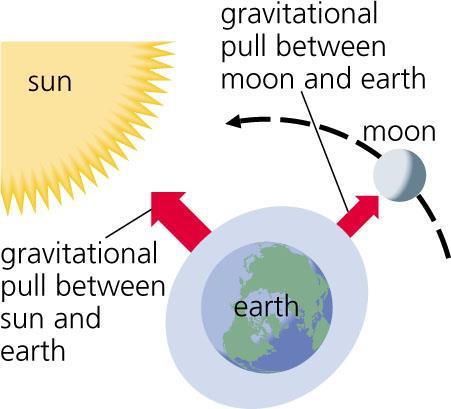 Neap Tides or Low Tides During First and Last Quarter moons - the line between the Sun, Earth, and moon is a right