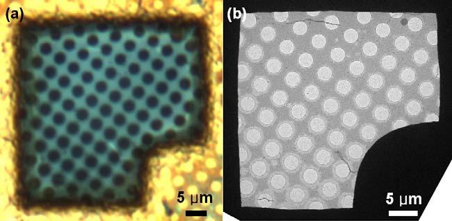 Supplementary Figure S1. Double-layer graphene samples on a TEM grid. (a) Optical image of a sample. (b) Low-magnification TEM image of the same regions of the sample.