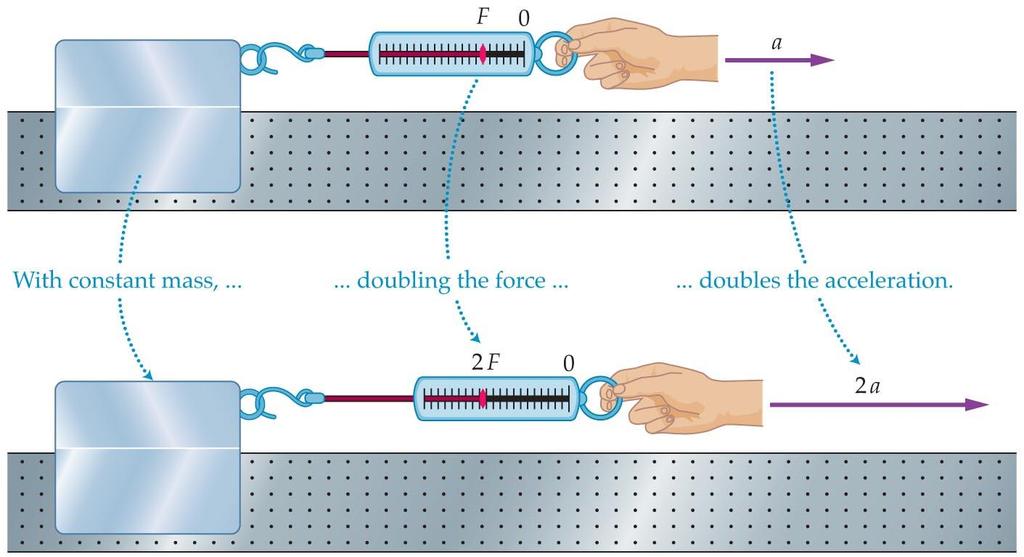 Newton's Laws of Motion How does an object's acceleration depend on the force?