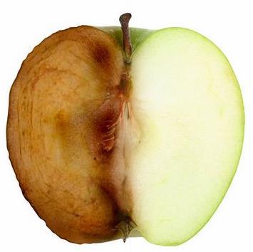 Did you know? Fruit exposed to the air is oxidized (the oxygen steals electrons from the compounds in the fruit s cells) and turns brown.