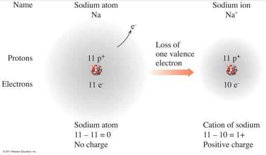 Group 1A elements, like sodium, have one valence electron.