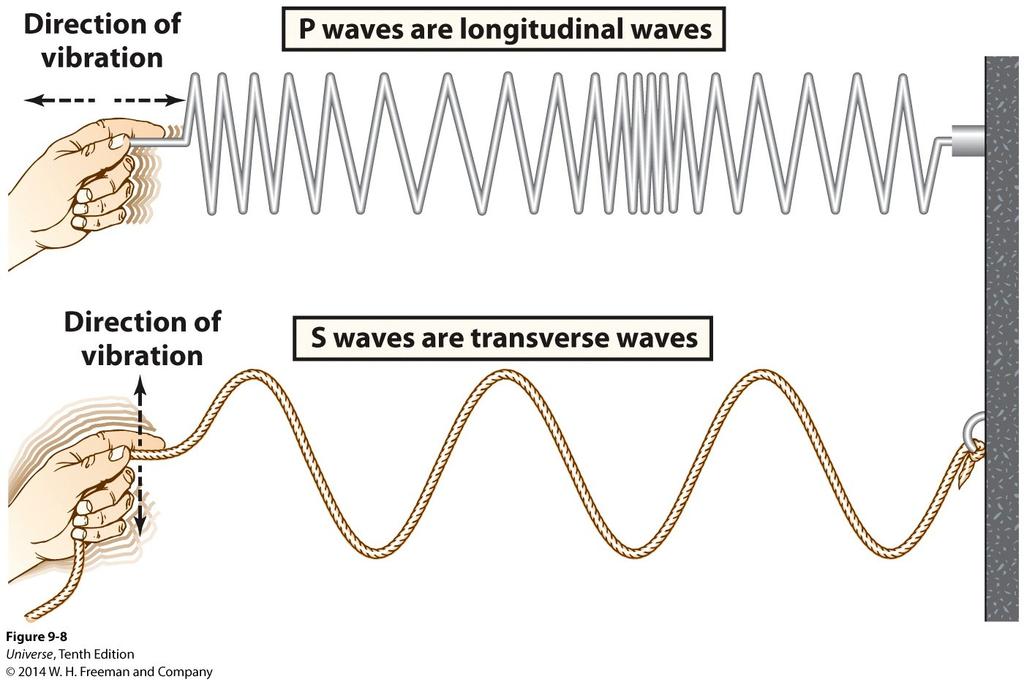 There are two types of seismic wave: S waves are transverse waves.