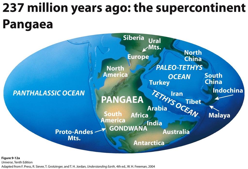 Pangaea broke up to form the current