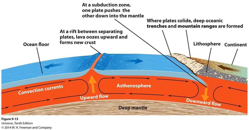 Plate Tectonics Where tectonic plates collide, deep ocean trenches are formed along with mountain ranges on the continental plates.