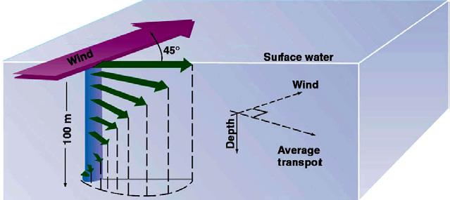 Review of Ekman Spiral Winds set water in motion. Each successive layer below travels to the right of the layer above in the northern hemisphere.