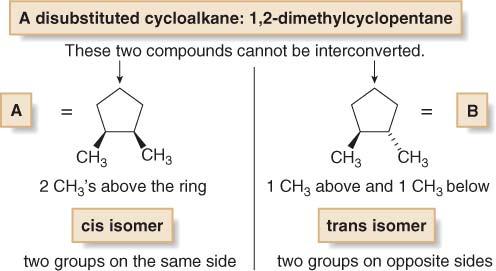 4.13B Disubstituted Cycloalkanes There are two different 1,2-dimethylcyclopentanes one having two CH 3 groups on the same side of the