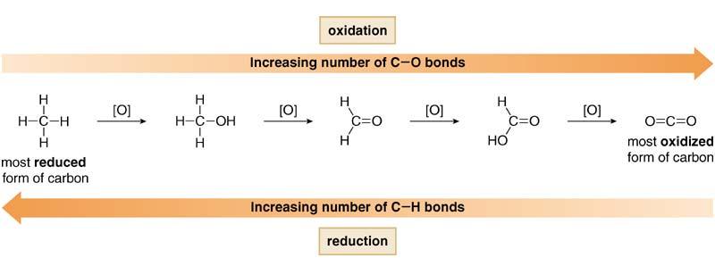 Oxidation results in an increase in the number of C Z bonds; or Oxidation results in a decrease in the number of C H bonds.