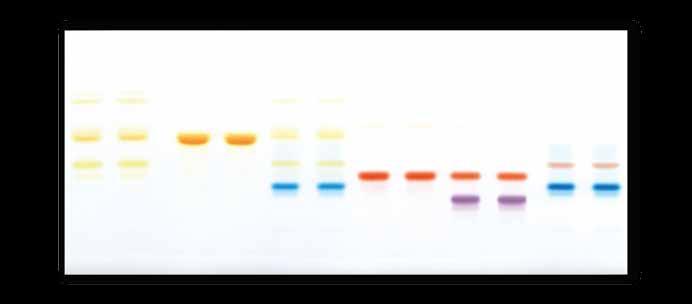 MACHEREY-NAGEL Thin Layer Chromatography for more than 5 decades Why TLC?