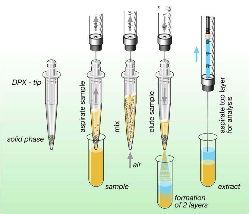 Sample pretreatment. Hydrolysis of urine was performed by combining 2 ml of urine, 150 μl of the working internal standard solution, 100 μl of ß-Glucuronidase, and 500 μl of 0.