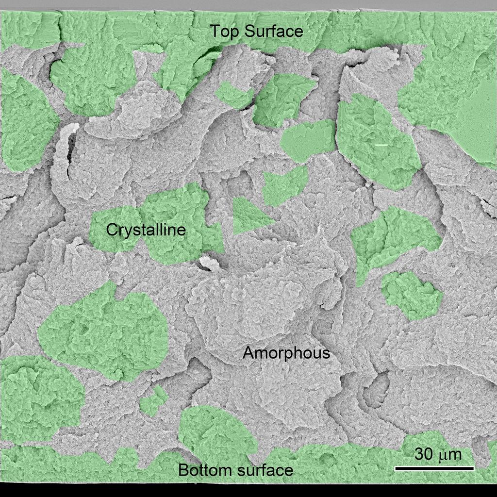 Supplementary Figure 3. High resolution SEM image of photonic crystal film. Amplified SEM image of the cross-section of the dried colloidal crystal film after removing the EG content.