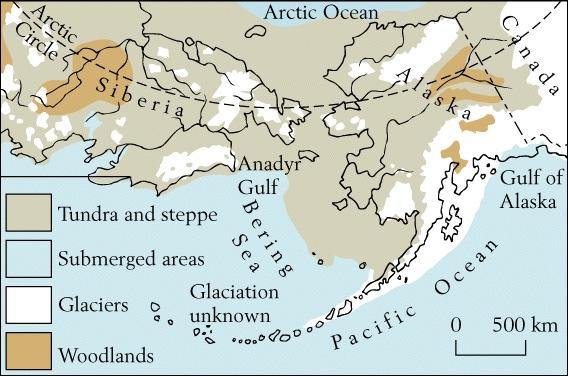 Continental glaciation Bering Land Bridge was ice-free and a corridor for