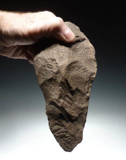 shattering stone or bone, and boring holes into hard surfaces Homo erectus remains have