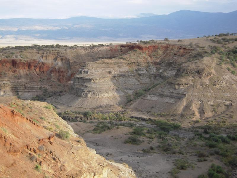 for clues to the human past in a deep canyon in Tanzania called Olduvai