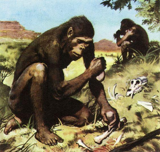 Early Hominid Groups Scientists and anthropologists have discovered and studied numerous remains and artifacts of hominids They have established that a number of different groups of hominids lived