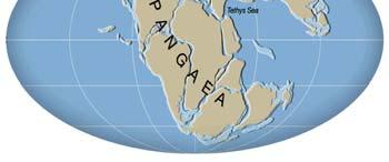 II. 225-200 MYA: Pangaea What was Pangaea? When did it exist?