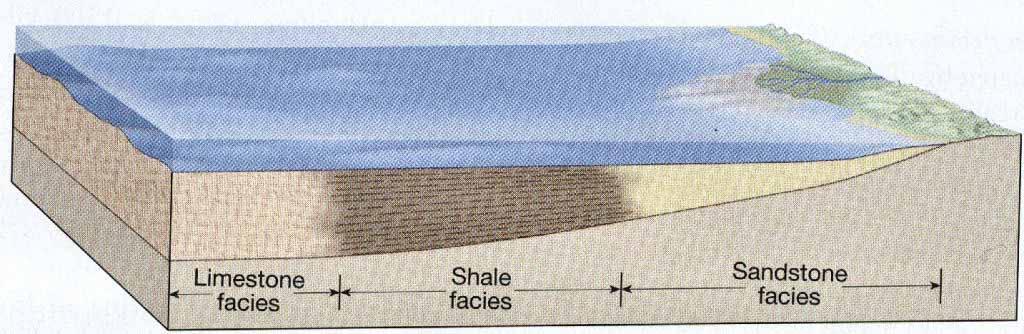 Sedimentary environments Sedimentary facies Different sediments often accumulate adjacent to one another at the same time Each unit (called a facies) possesses a