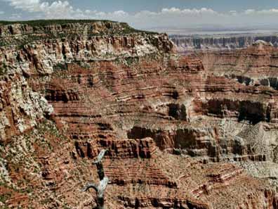 Sedimentary structures Provide information useful in the interpretation of Earth history Types of sedimentary structures Strata, or beds