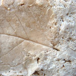 Travertine Travertine is calcium carbonate that forms directly in the physical environment