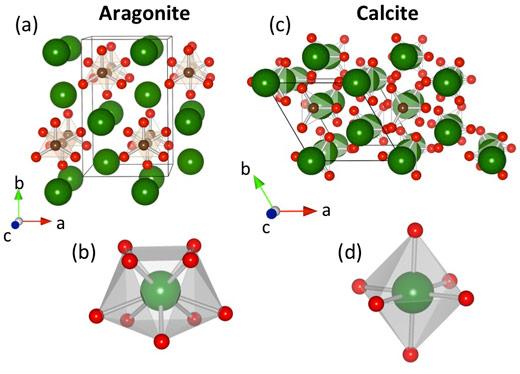 Calcite vs. Aragonite Magnesium and its role in the formation of calcite Calcite vs. aragonite Polymorphs! Why do some organisms prefer aragonite to calcite?
