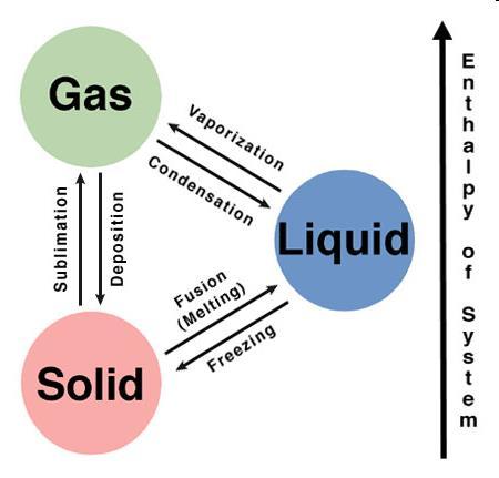 Title: States of Matter States of Matter Problem: How do solids, liquids, and gases differ in the motion of their particles?