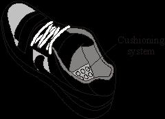 Many running shoes have a cushioning system.