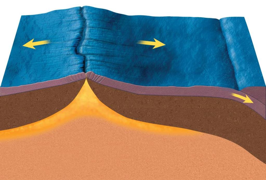 What are three types of plate boundaries?