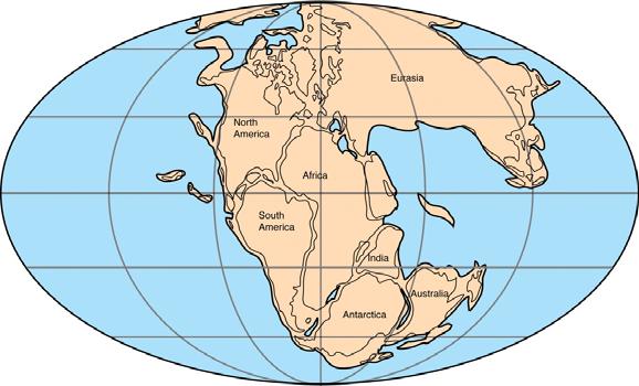 6. Biogeography Theory of Continental Drift: 250 mya, all continents were once connected as a supercontinent called Pangaea.