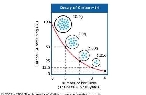 Carbon 14 Dating Carbon 14 Dating is a commonly used form of radioactive dating.