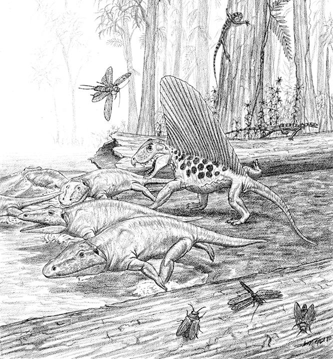 Late Paleozoic Life on