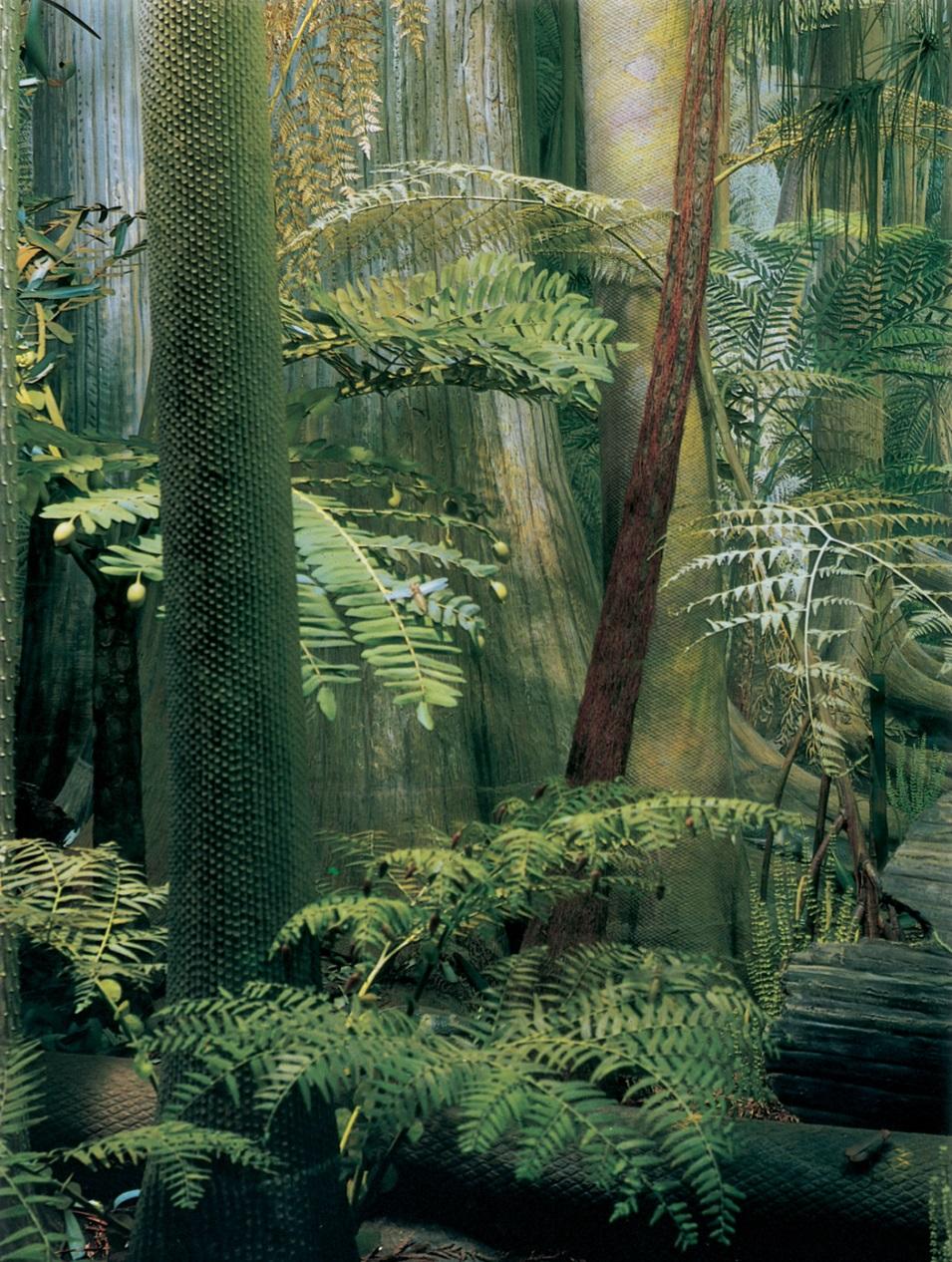 Late Paleozoic Carboniferous
