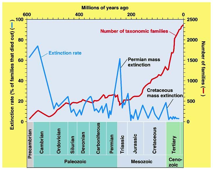 Diversity of life & periods of mass extinction Diversity of life and periods of mass extinction.