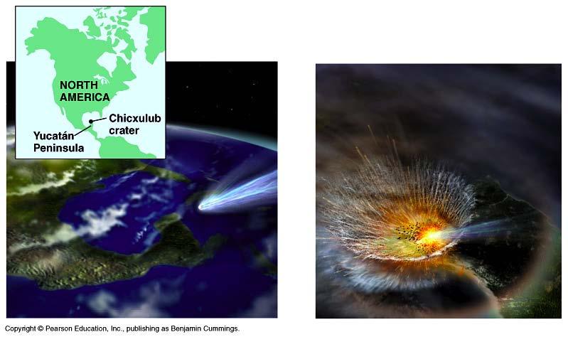 The Chicxulub impact crater in the Caribbean Sea near the Yucatan Peninsula of Mexico indicates an asteroid or comet struck the earth and changed conditions 65 million years ago Trauma for Earth and