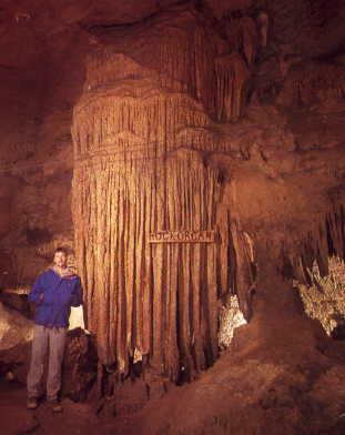 The Rock Organ Organ Cave, Greenbrier Co., WV Karst & Caves Carbonate Dissolution CaCO 3 + H 2 O+ CO 2 = CaCO 3 + H 2 CO 3 = Ca 2+ + 2 HCO - 3 (Dissolved Ions) Conditions Favoring Karst: 1.