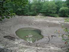NP, KY Trout Pond: Sinkhole Exposed in
