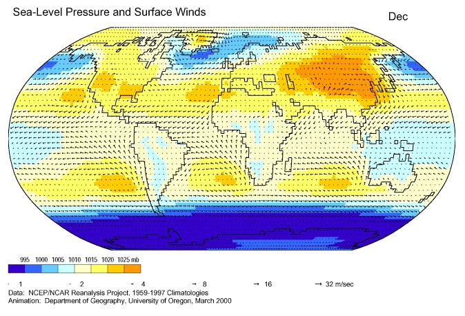 Annual cycle: sea level pressure and vector