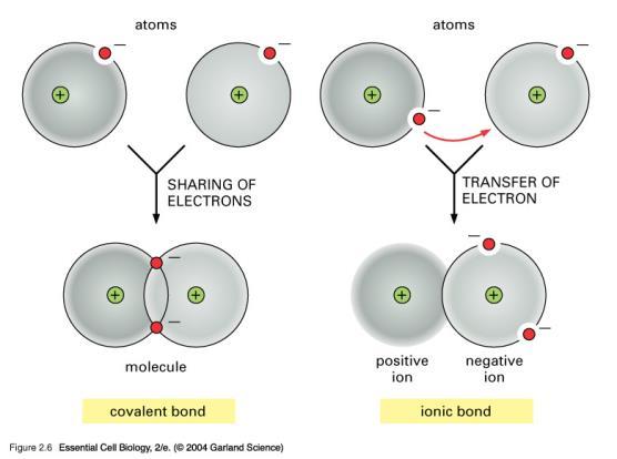 CHEMICAL BONDS CONTINUED Metallic bond- valence electrons are shared between all atoms.
