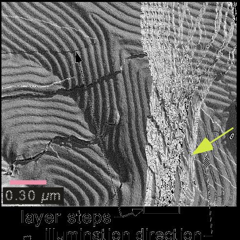 films (DRLM) Freeze fracture transmission electron microscopy