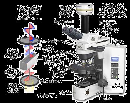 A Polarized Light Microscope C Low index Fast Axis Low index