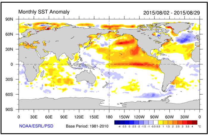 The blob of above normal SSTs off the coast