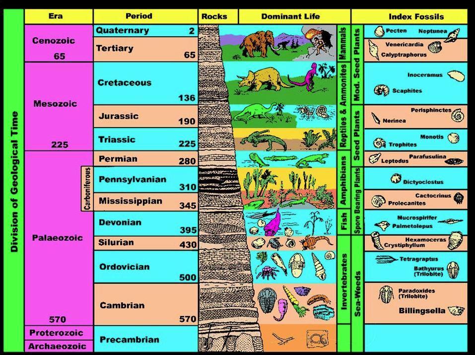 Life and Geologic Time A. Geologic time Earth s history is divided into time units that make up a geologic time scale. 1.
